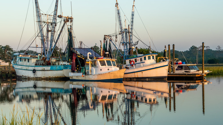 Shrimp boats at a dock