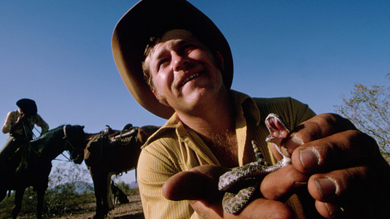 A cowboy holding a baby rattlesnake