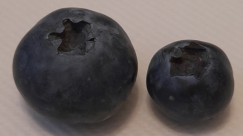Two blueberries of different sizes