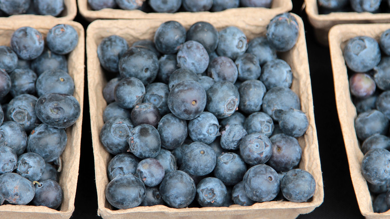 Containers filled with blueberries