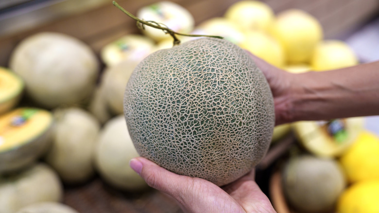 Woman's hands holding cantaloupe in produce section
