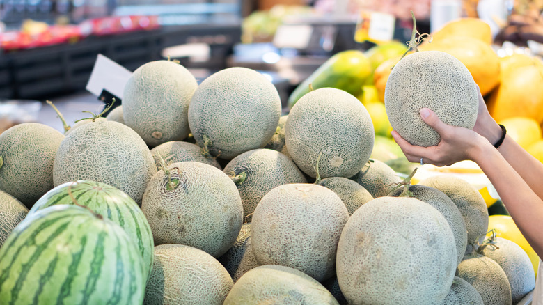 Shopper holds whole cantaloupe in front of display crate in produce section