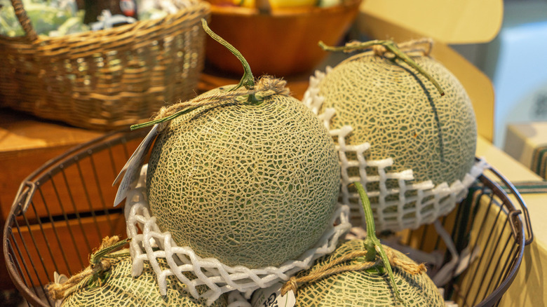 Cantaloupes in display basket