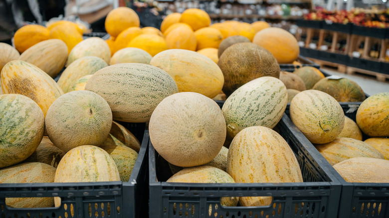 Whole cantaloupes in black crates in supermarket produce section
