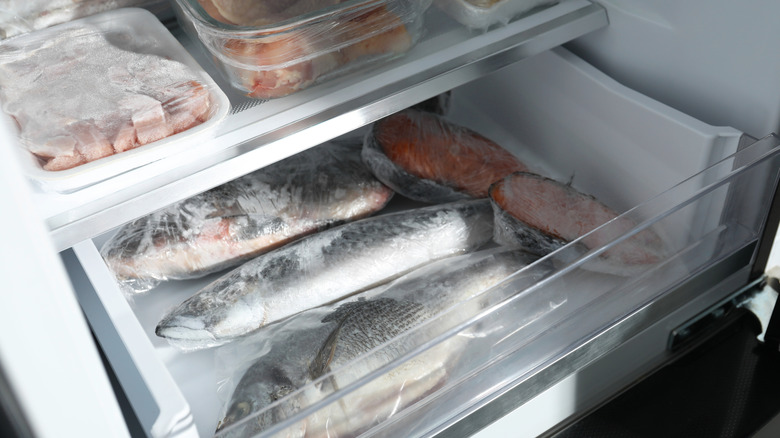 Frozen fish inside a freezer