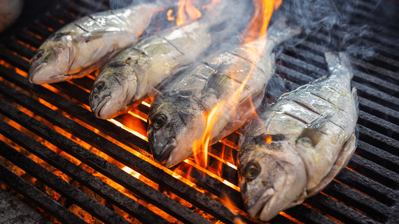 Whole fish cooking on a grill