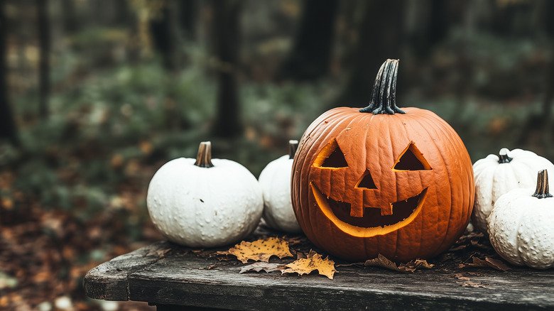 Jack-o-lantern and white pumpkins on a bench outdoors
