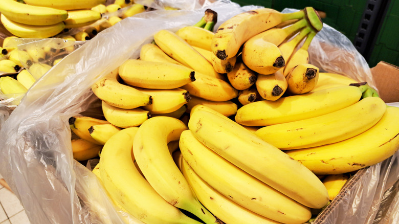 A crate of bananas.
