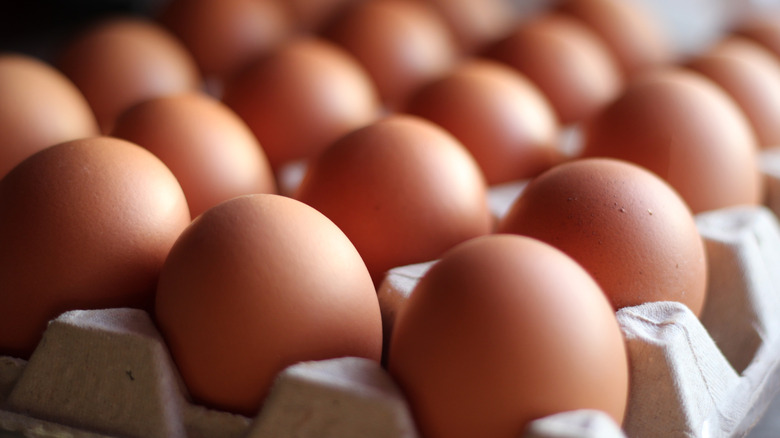 Close up of brown eggs in carton