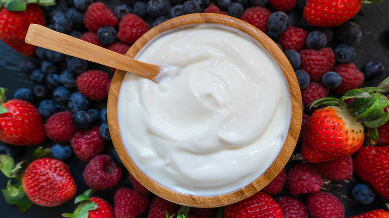 Bowl of yogurt surrounded by berries