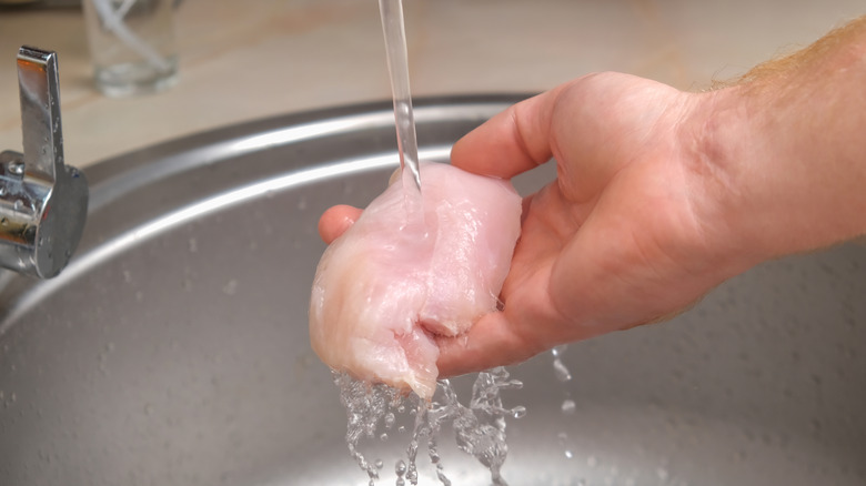 Person washing raw chicken
