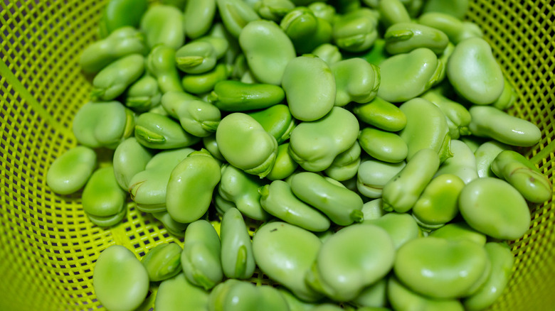 Fava beans