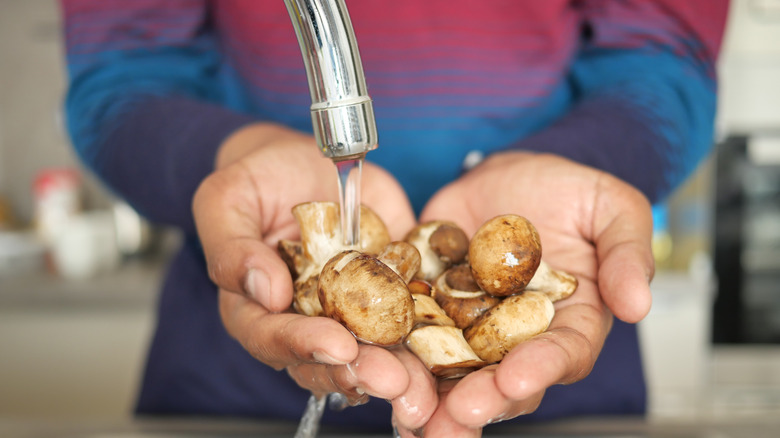 Person washing mushrooms