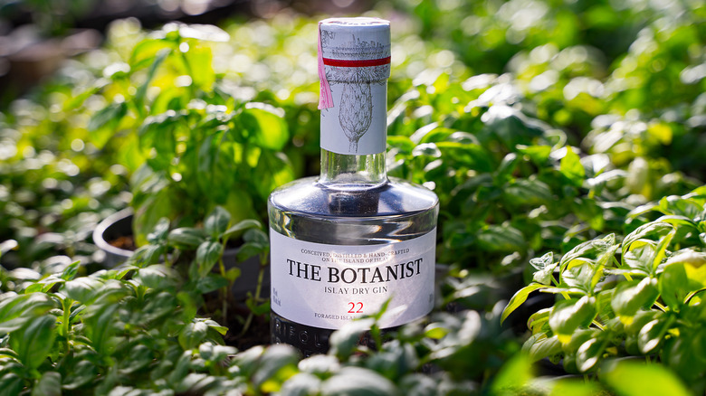 A bottle of The Botanist gin sitting in greenery