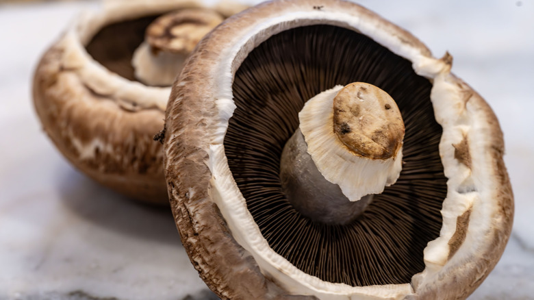 Portobello mushrooms