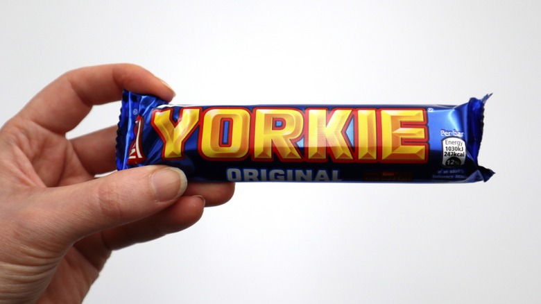Person holding up a Yorkie bar