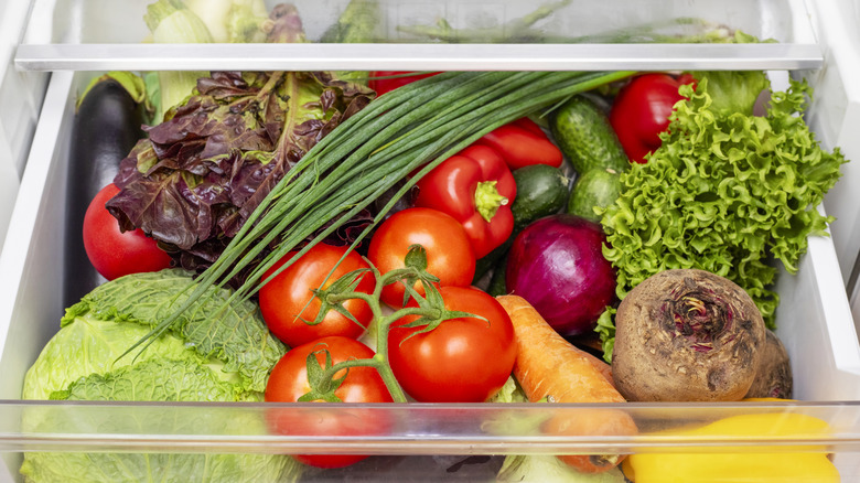 Vegetable compartment of the refrigerator full of fresh vegetables