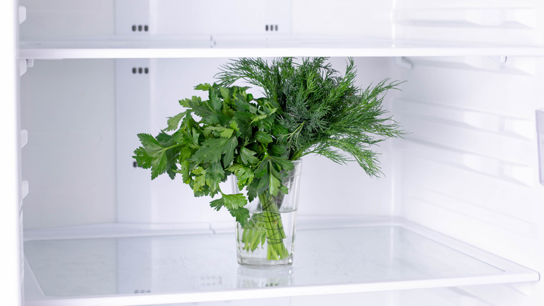 Fresh parsley and dill in a glass of water in the refrigerator