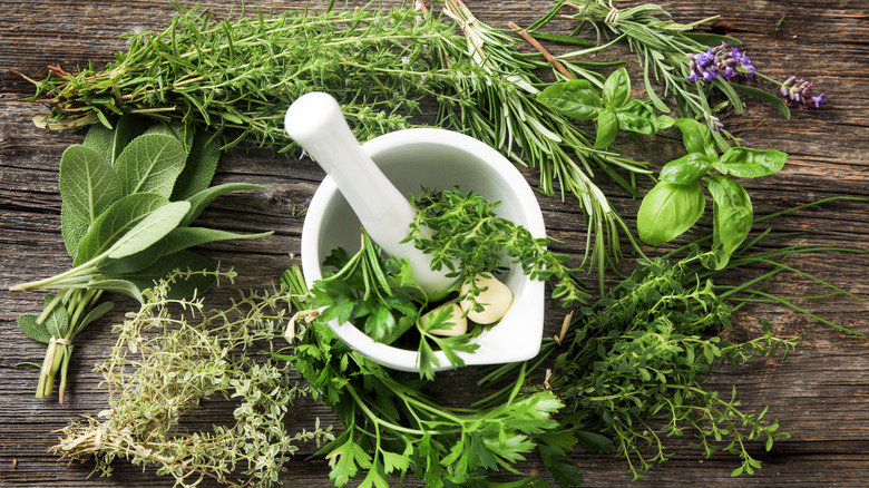 Fresh green herbs and mortar on a wooden table
