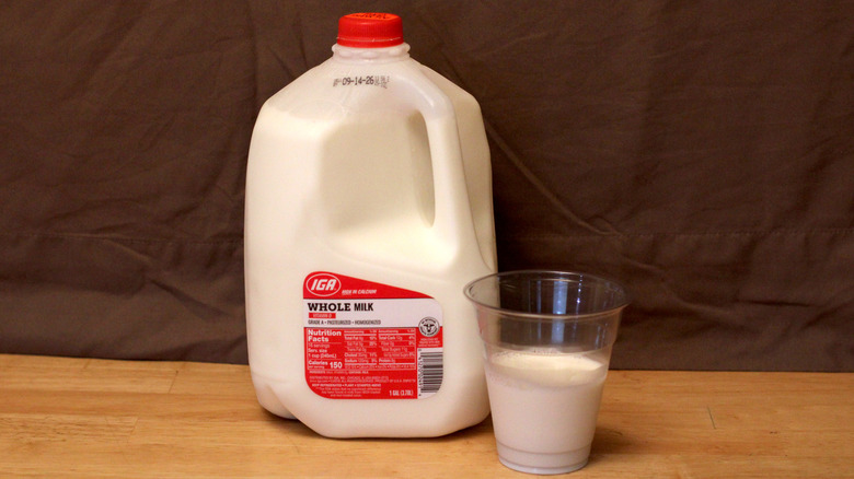 A jug of IGA brand whole milk beside a cup of milk