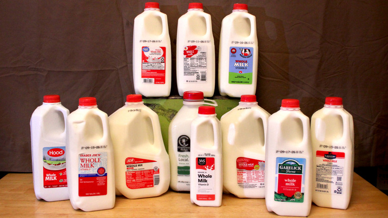 A selection of 12 different non-organic milks purchased from local grocery stores for comparison