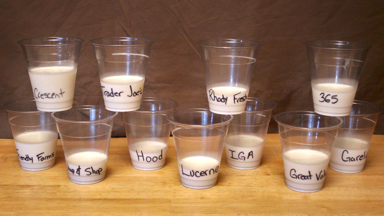 Twelve cups of milk from different brands that have been labeled and lined up on a table.