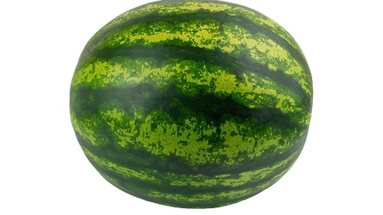 A whole striped watermelon on a white backdrop