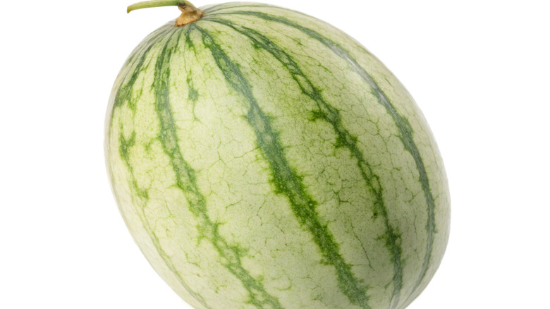 A Charleston Gray watermelon on a white backdrop