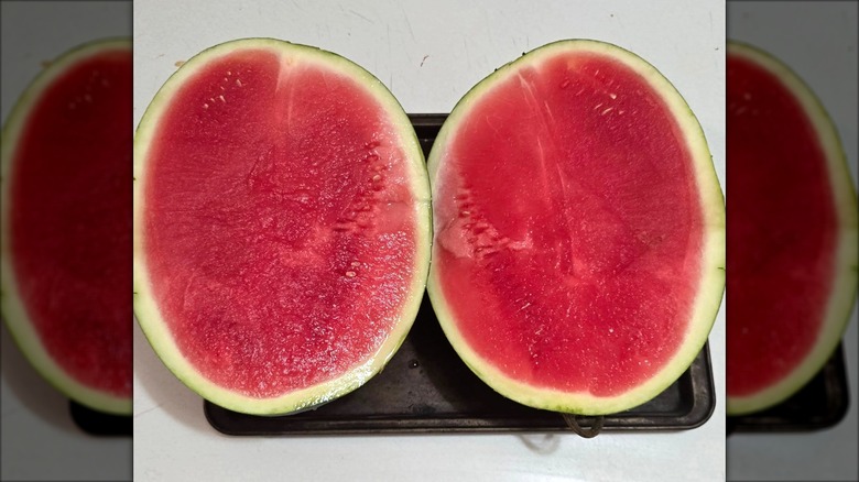 A Cracker Jack F1 watermelon sliced in half