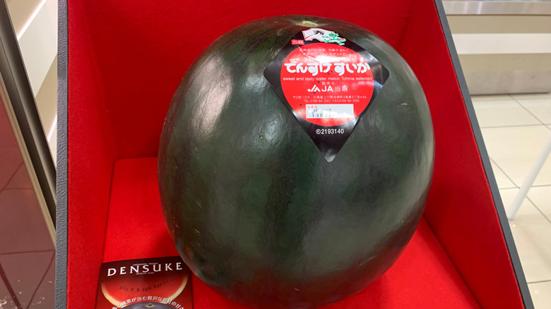 Densuke watermelon in a red display box