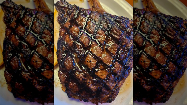 Close up of a steak from Texas Roadhouse with sharp grill marks, mirrored