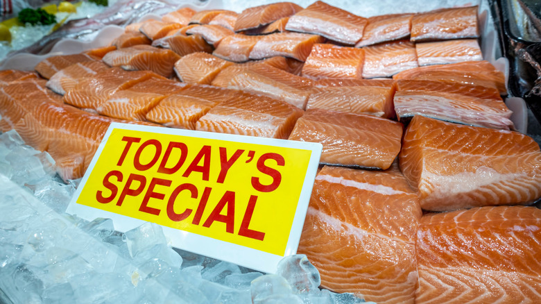 Fresh salmon on ice with 'today's special' sign