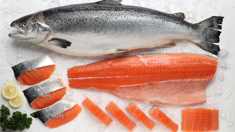 Whole salmon with different salmon cuts