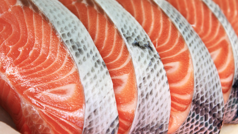Raw salmon portions lined up together