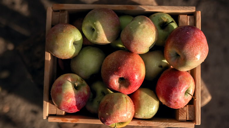 Fresh apples in a wooden crate