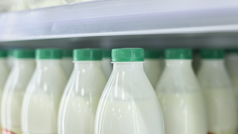 Bottles of milk in a refrigerator