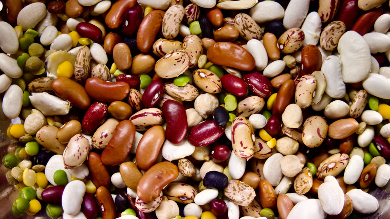 mixture of dried beans and lentils