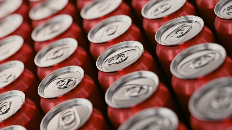 Canned sodas lined up in rows
