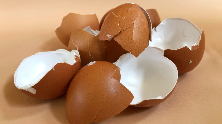 Pile of brown eggshells