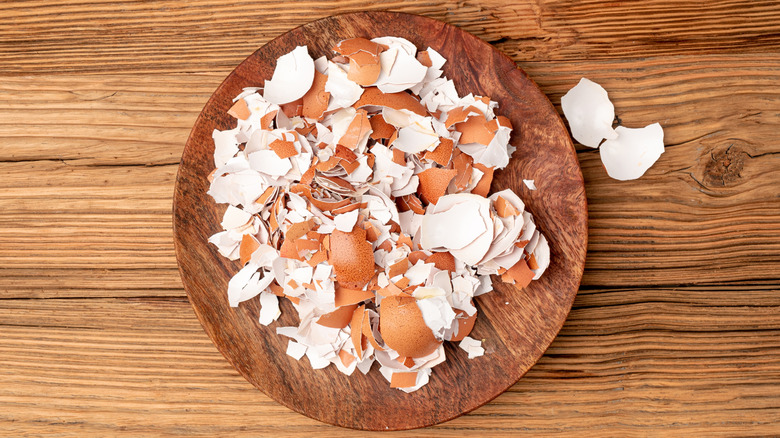 Plate of crushed eggshells
