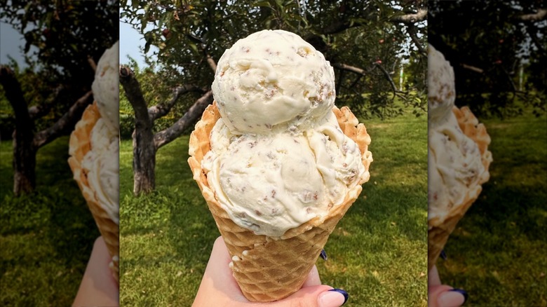 Hand holding two scoops of Grape-Nuts ice cream in cone
