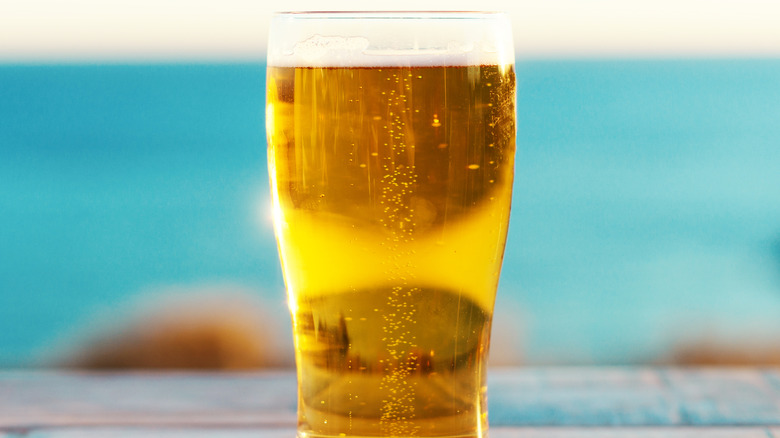 Glass of beer with beautiful water in the background