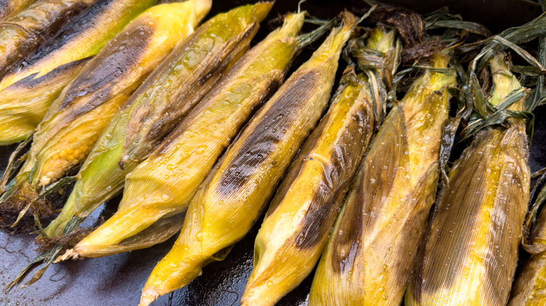 Corn grilled in its husk