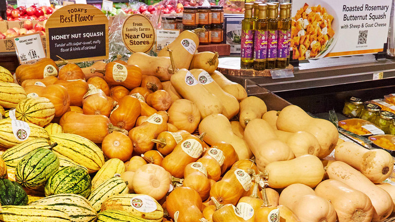 A squash display at Wegmans, featuring delicata, honey nut, and butternut