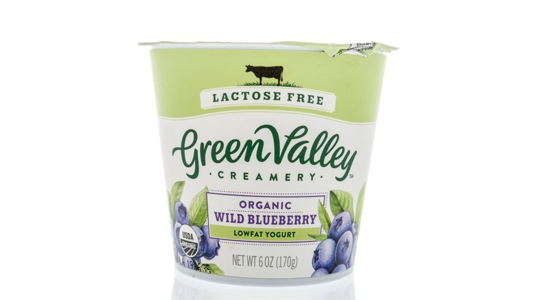 Tub of Green Valley Creamery organic wild berry yogurt on white background