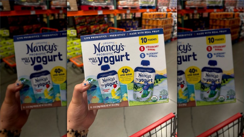 Hand holding box of Nancy's probiotic yogurt pouches