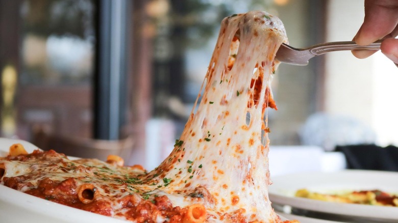 Someone lifting a forkful of cheese from a plate full of spaghetti.