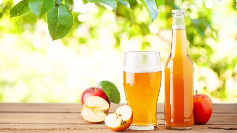 Glass of cider with apple and cinnamon garnish