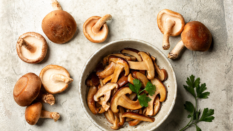A bowl of sautéed mushrooms garnished with parsley, surrounded by fresh whole mushrooms