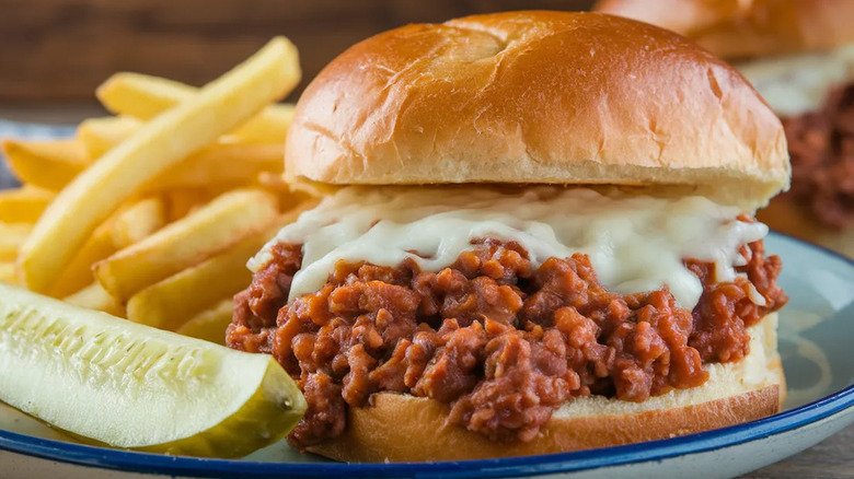 Sloppy joe with pickle and fries